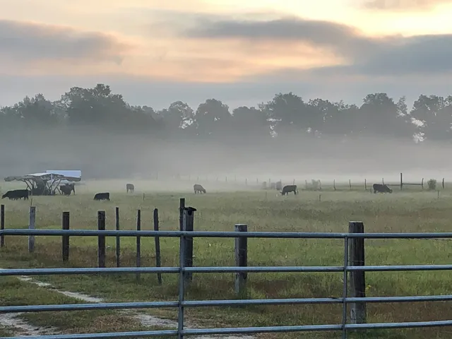 Stabler Family Farms