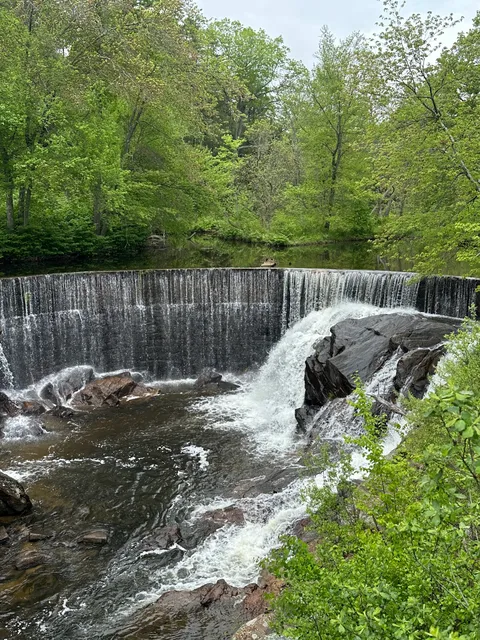 Horseshoe Falls-the Ted Knight bridge