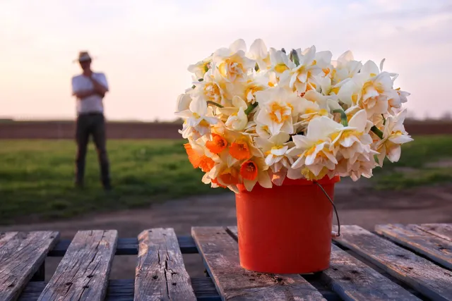 North Fork Flower Farm
