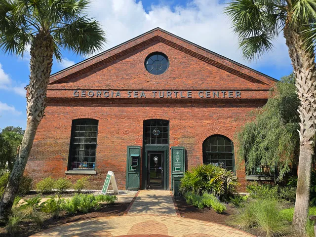 Georgia Sea Turtle Center