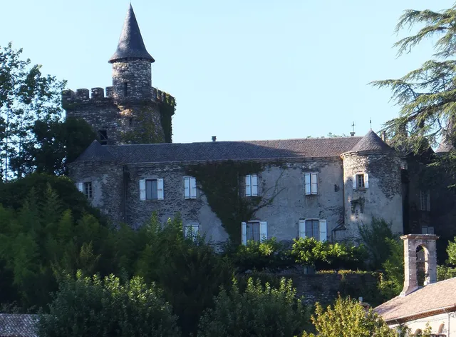 Le chateau de cambiaire