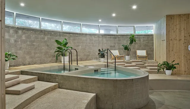 Nature Folk Wellness Collective