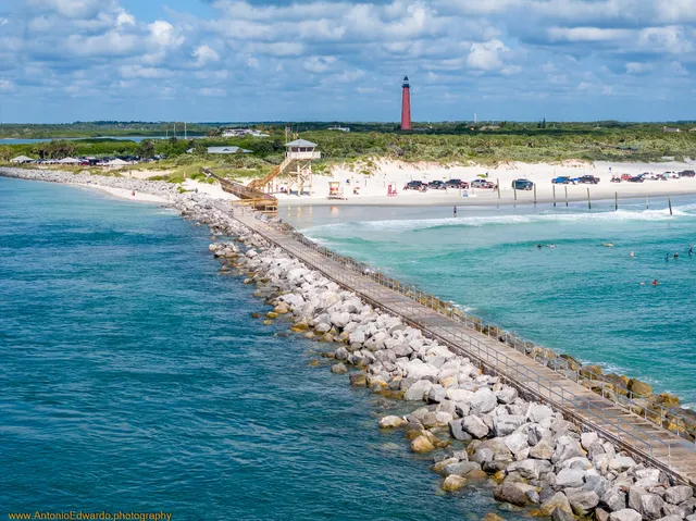 Ponce Inlet Dog Beach Ponce Inlet FL