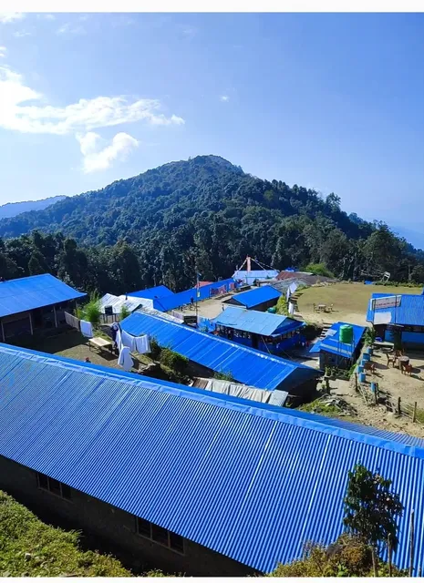 Forest Camp,Mardi Himal Trek