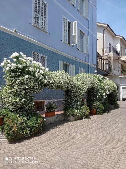 B & B Elisir Albenga