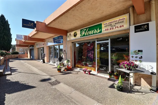 Centre commercial le Moulin