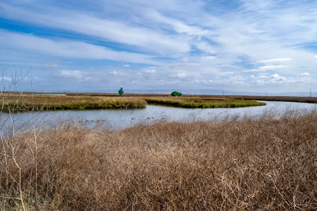 Palo Alto Baylands Nature Preserve Trail