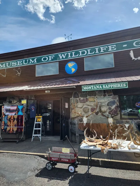 World Museum Of Wildlife - Gifts