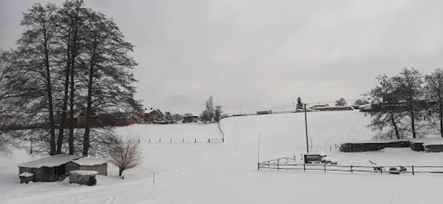 Gaststätte Grüner Baum