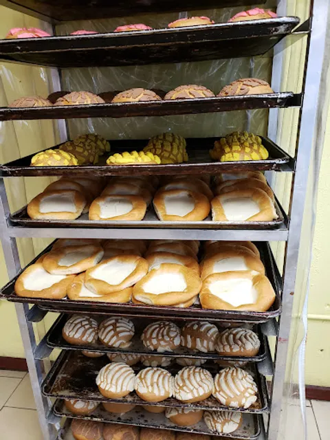 Panaderia Celaya 2 - Bakery