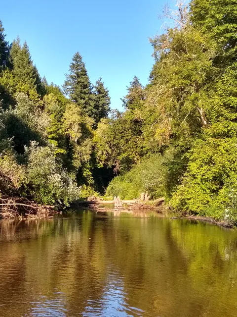 Sarah Helmick State Recreation Site
