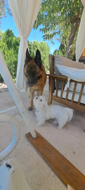 casa de madera Luz de Carlota