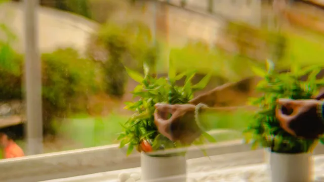 Mudra Holistic Center