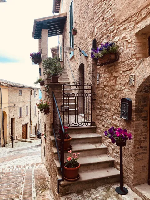 Domus Flora Guest House