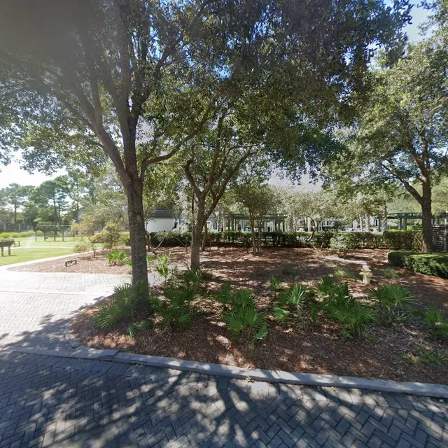 WaterColor Frog Pool