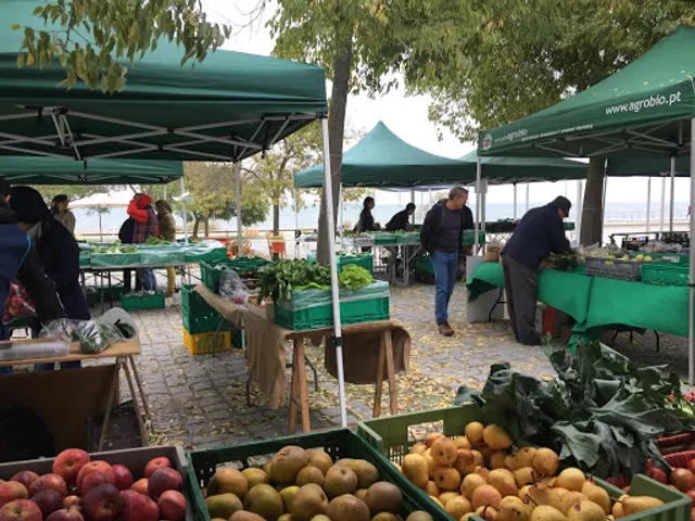 Organic Market Agrobio - Nations Park