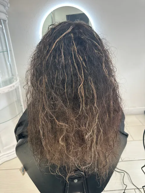 Capelli Style Studio