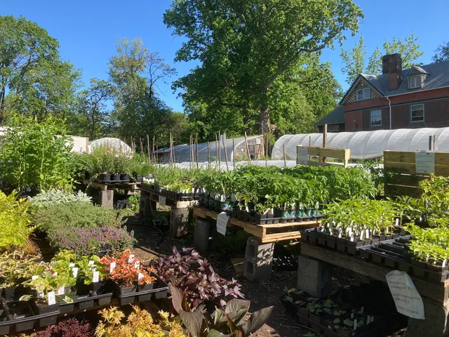 Germantown Kitchen Garden Farm Stand and Plant Nursery