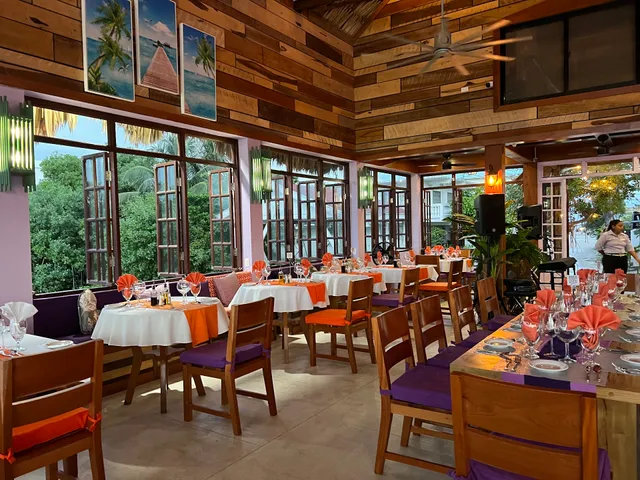 Purple Pelican Restaurant