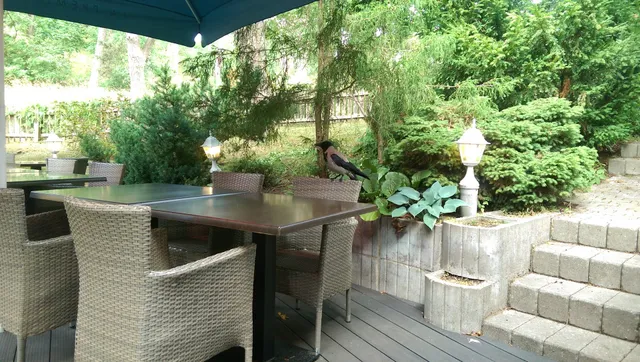 Meat Steak House | Nida