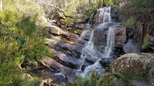 Clematis Falls