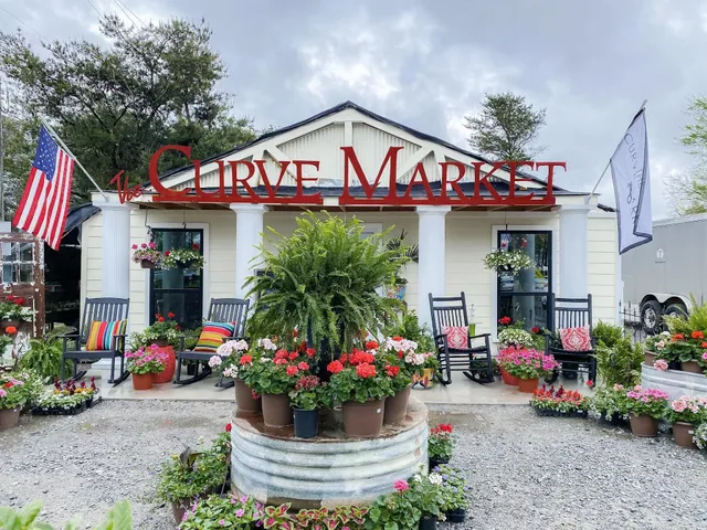 The Curve Market