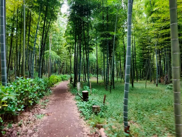 湯山の里温泉 露天風呂