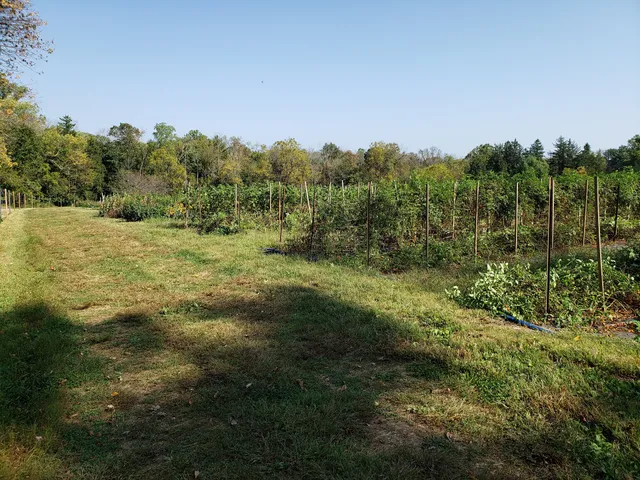 Cherry Grove Organic Farm