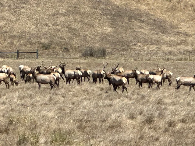 San Simeon Visitor Center