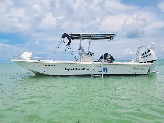 Coastal Wildlife Adventures