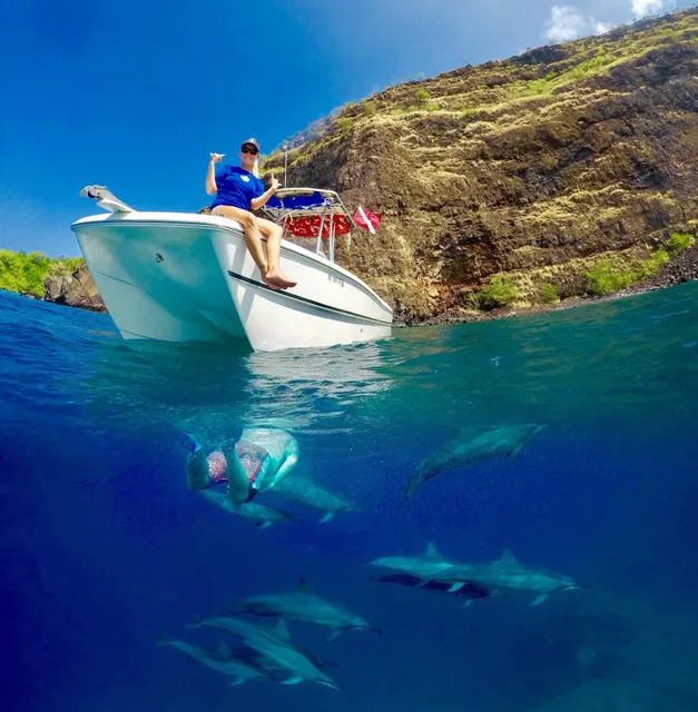 Kona Manta Ray Snorkel Tours