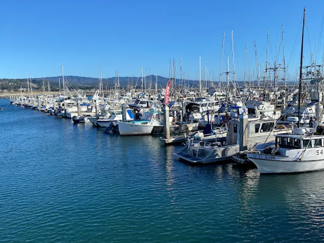 Pillar Point Harbor