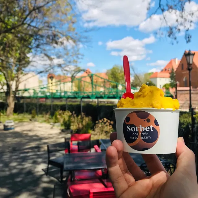 Sorbet | artisanal ice cream | ice cream shop | cafe