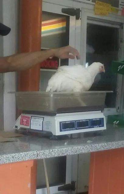 Windy City Poultry Co