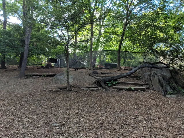 St. Nicholas Park Dog Run