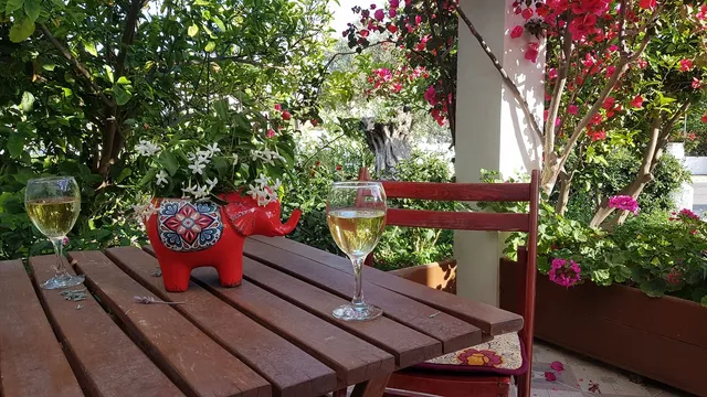 Villa Flora apartments