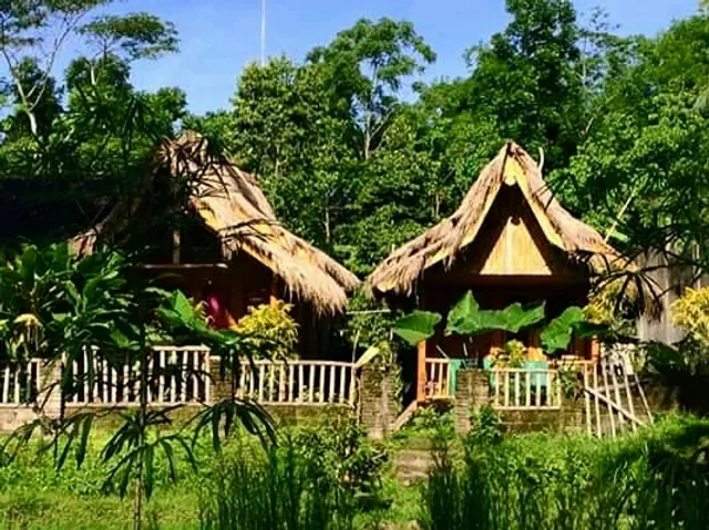 Tereng Wilis bungalows
