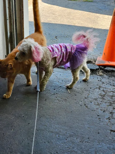 V & V Appliance Parts Inc