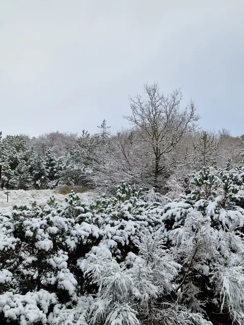 St. Peter-Ording - Ferienwohnungen - Appartements - Haus “Dünenhase”