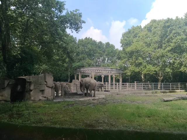 Naughty Family Pets Co.,Ltd.