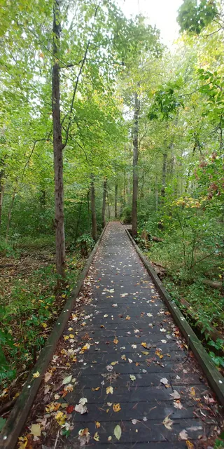Dow Brook Conservation Area