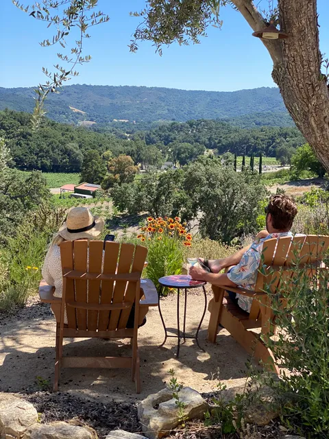 Uncorked Wine Tours/ Transportation and limo service