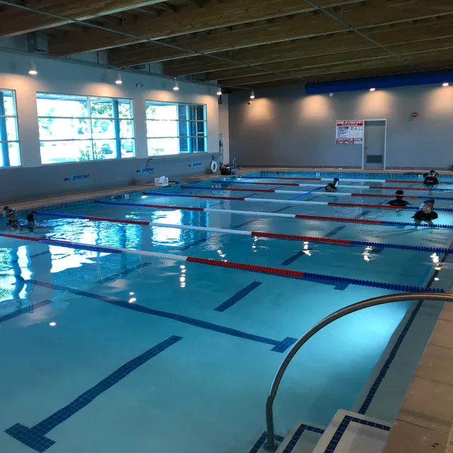 Premier Swim Academy