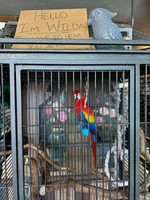 Lloyds of Lakeland Antiques