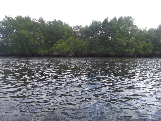 Orange river preserve