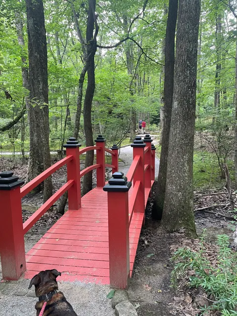 North Alabama Japanese Garden