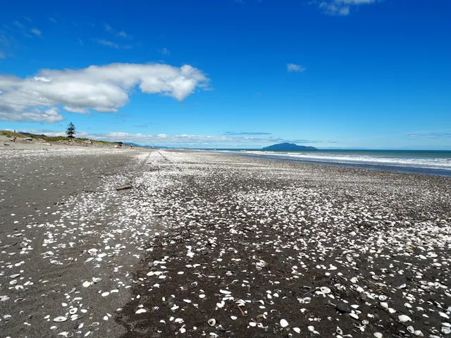 Otaki Beach