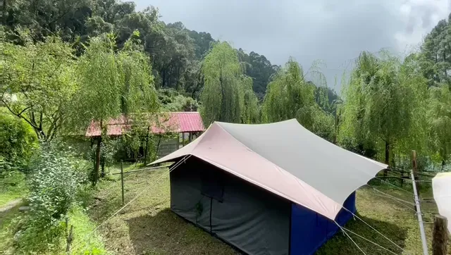 Camp Twilight Nainital