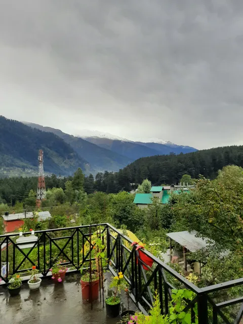 Solo Yolo Manali