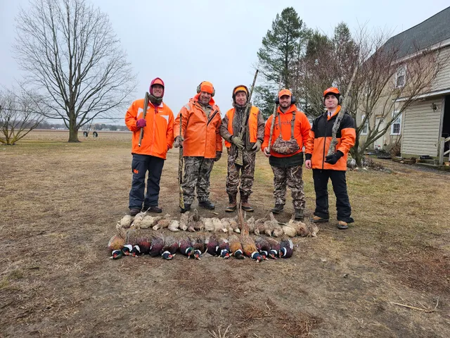 Giberson Farm Wildlife